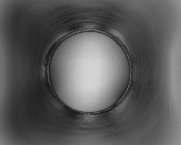 X0000088050827200705251320