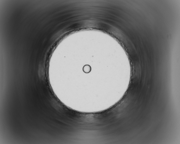 X0000088050828200705251320