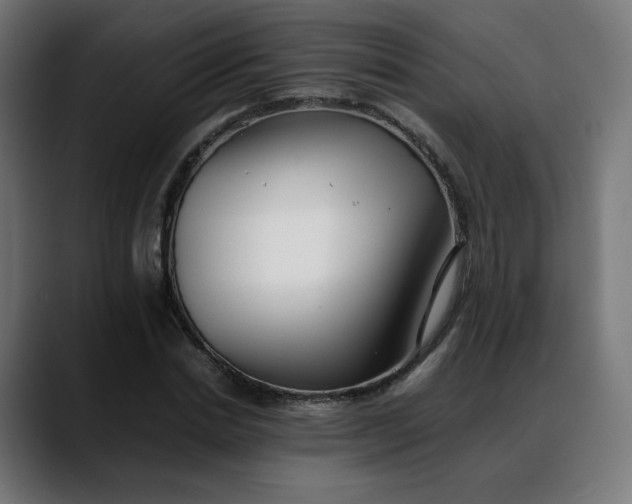 X0000088050830200705251320