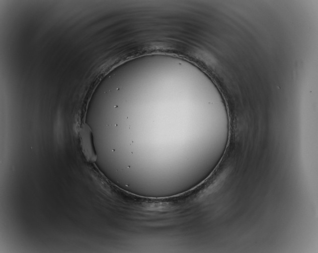 X0000088050833200705251320