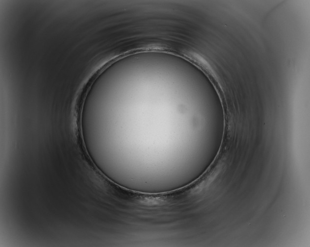 X0000088050835200705251320