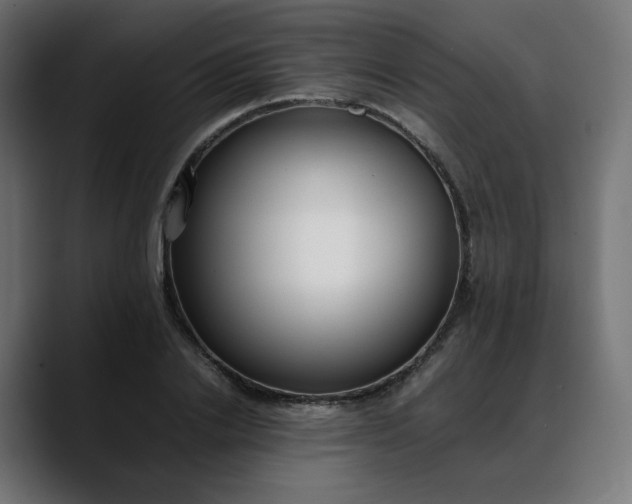 X0000088050838200705251320
