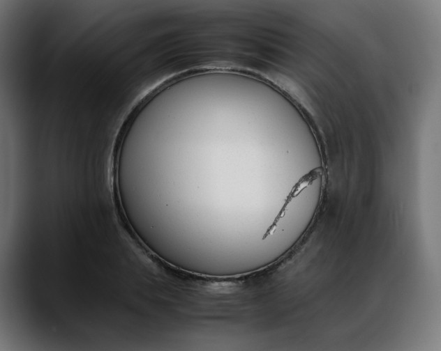 X0000088050839200705251320