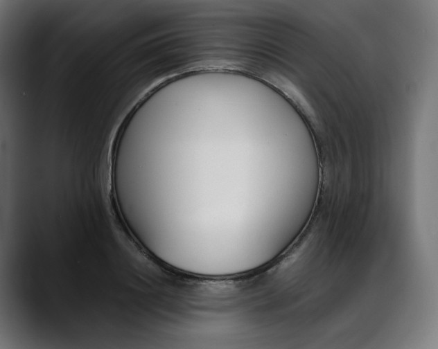 X0000088050844200705251320