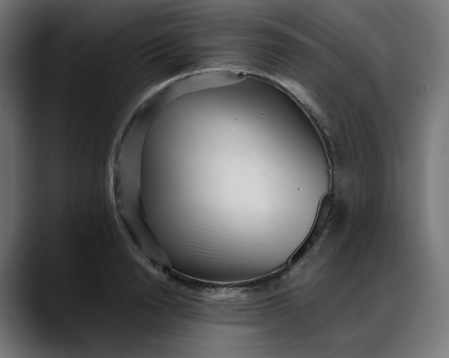 X0000088050846200705251320