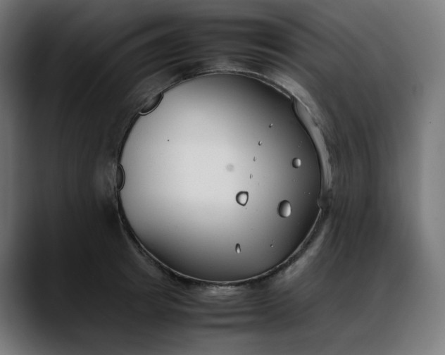 X0000088050849200705251321