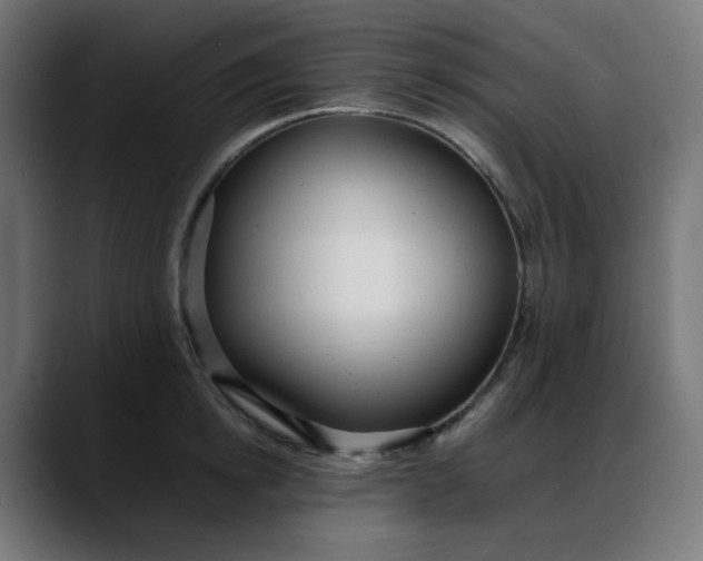 X0000088050854200705251321