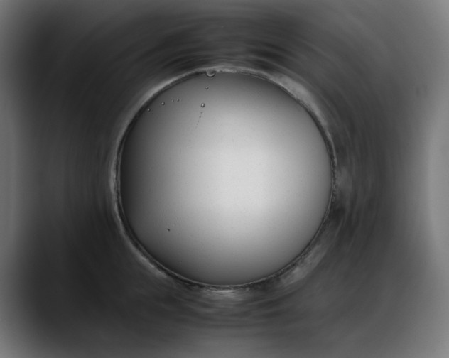 X0000088050855200705251321