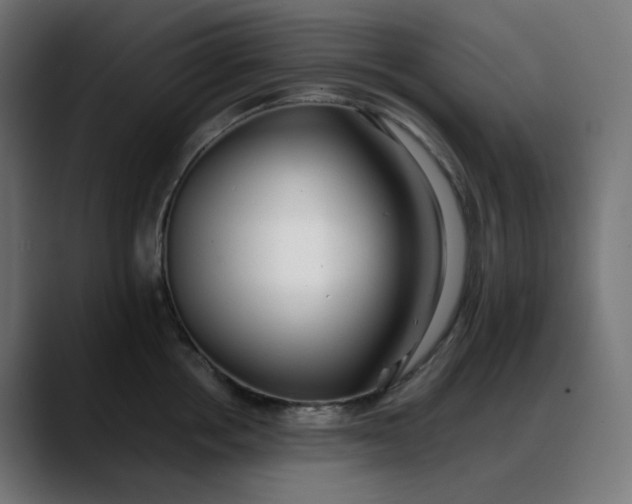 X0000088050858200705251321
