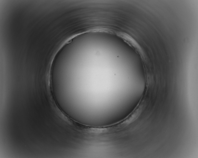 X0000088050860200705251321