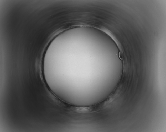 X0000088050861200705251321