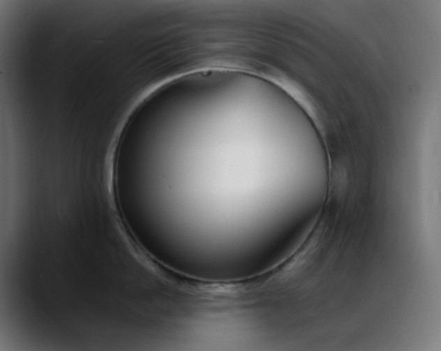 X0000088050862200705251321