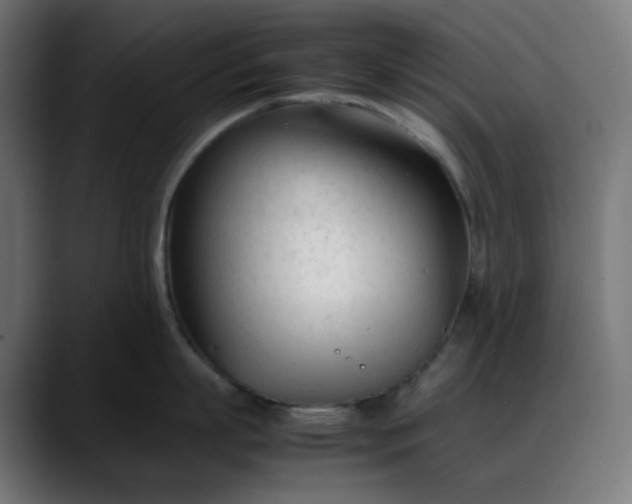 X0000088050863200705251321