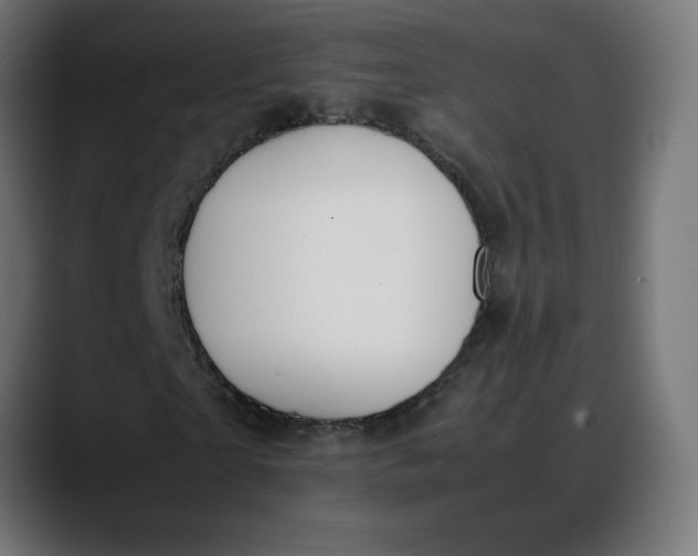 X0000088050865200705251320