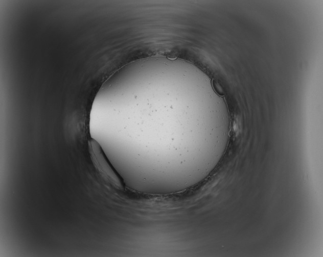 X0000088050867200705251320