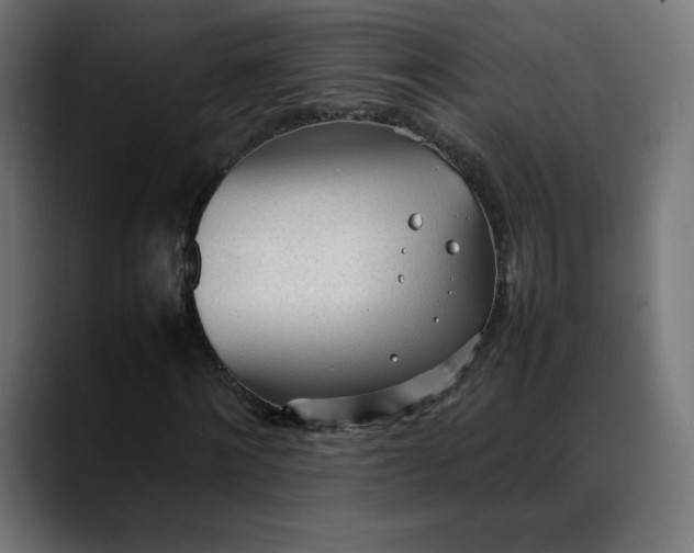 X0000088050868200705251320