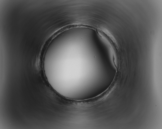 X0000088050876200705251320