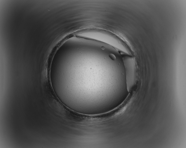 X0000088050877200705251320