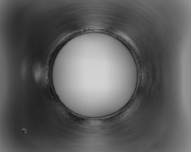 X0000088050878200705251320