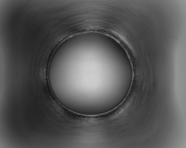 X0000088050881200705251320