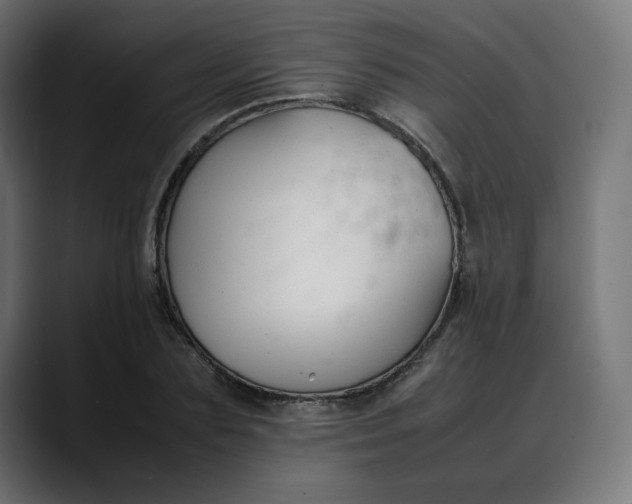 X0000088050883200705251320