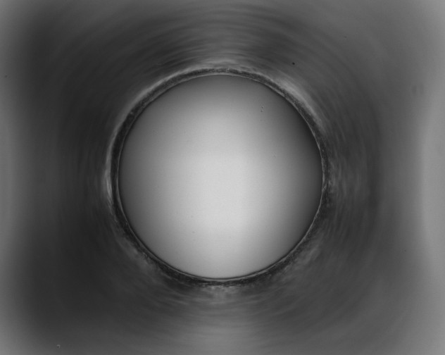X0000088050888200705251320