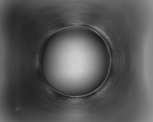 X0000088050889200705251320