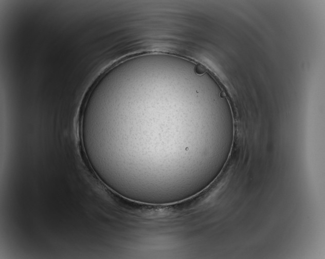 X0000088050891200705251320
