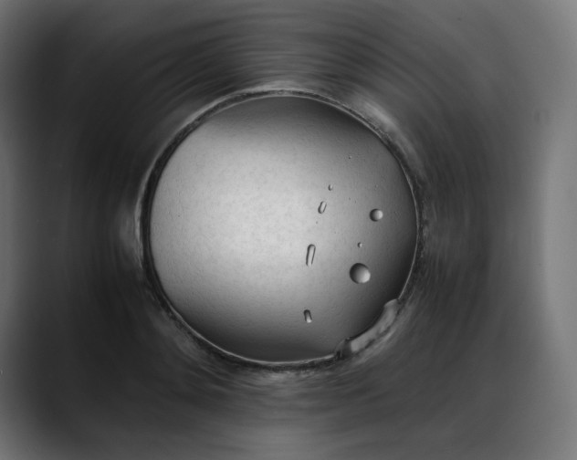 X0000088050892200705251320