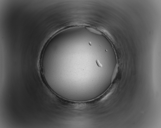 X0000088050893200705251320