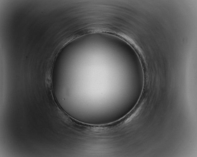 X0000088050897200705251320