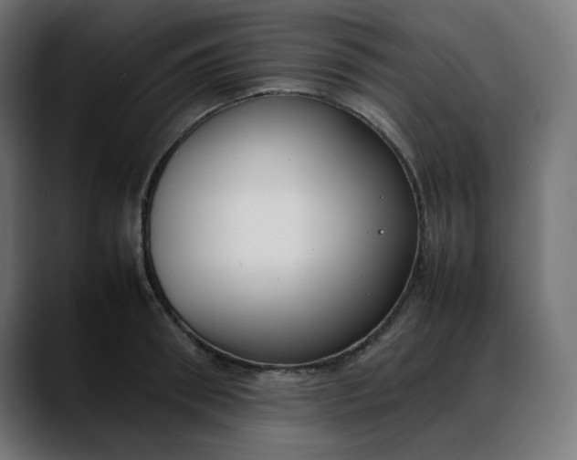 X0000088050898200705251320