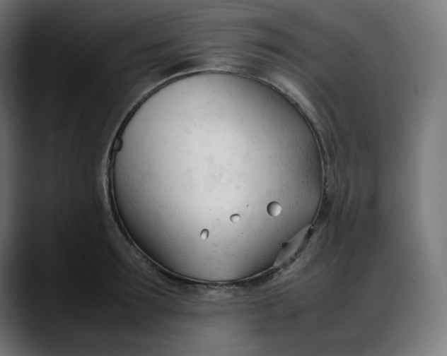 X0000088050899200705251320