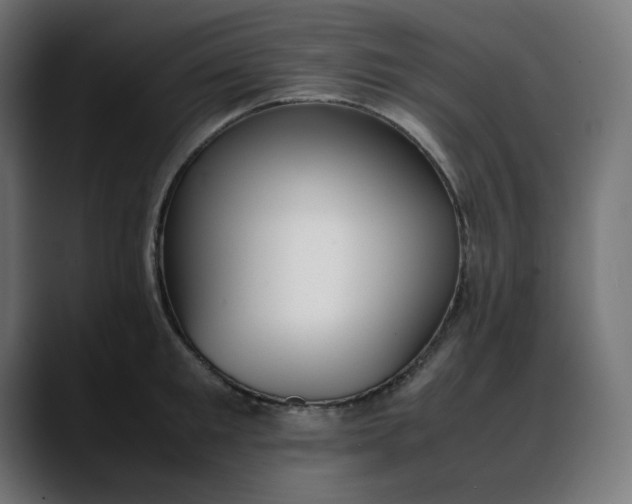 X0000088050901200705251320