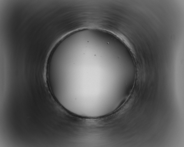 X0000088050904200705251320