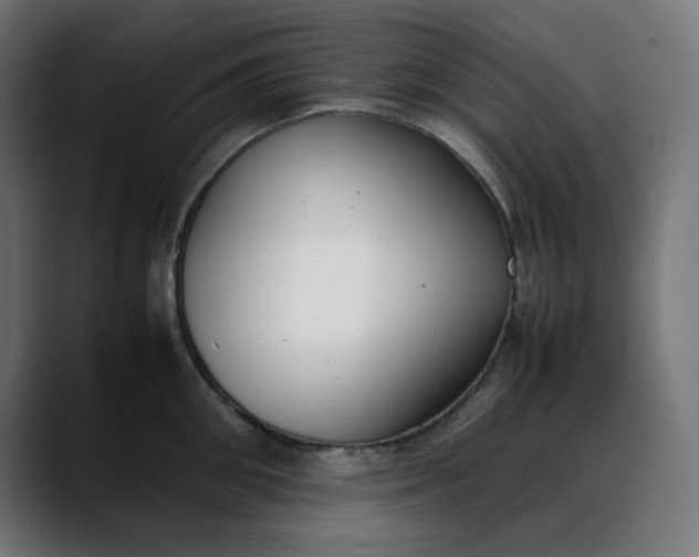 X0000088050906200705251320