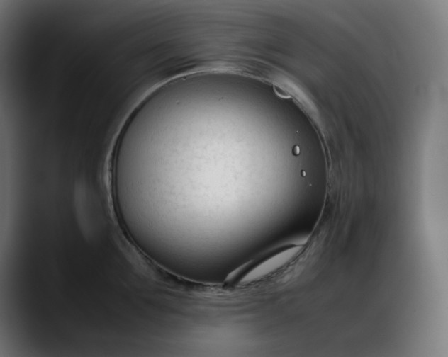 X0000088050907200705251320