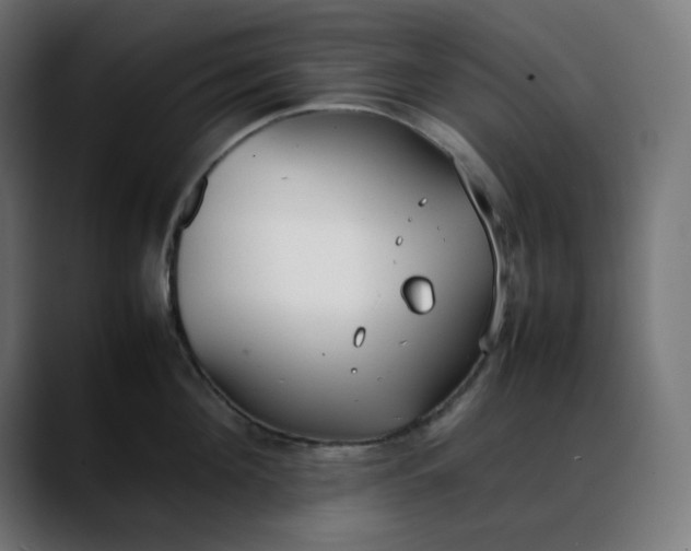 X0000088050908200705251320
