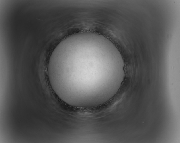 X0000088050913200705251319