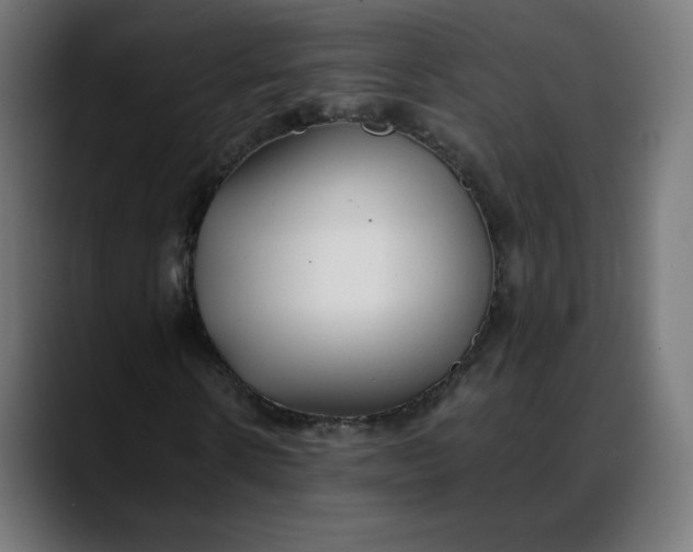 X0000088050914200705251319