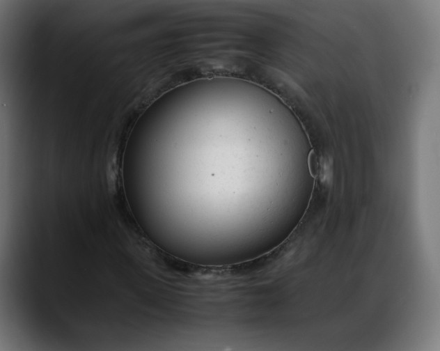 X0000088050915200705251319