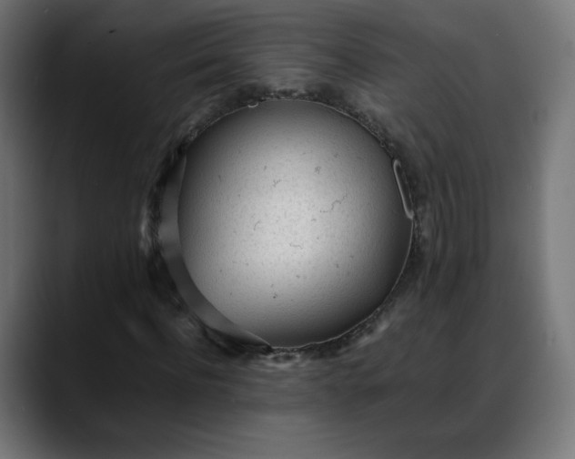 X0000088050916200705251319