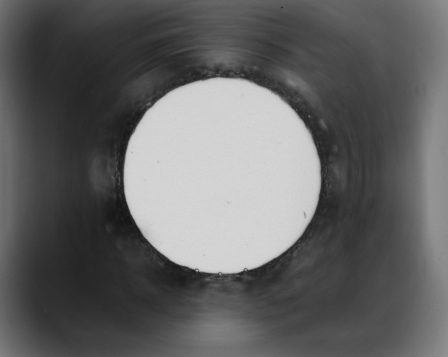 X0000088050918200705251319