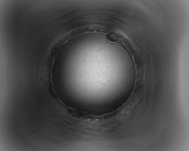 X0000088050919200705251319
