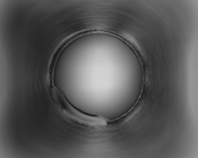 X0000088050924200705251319