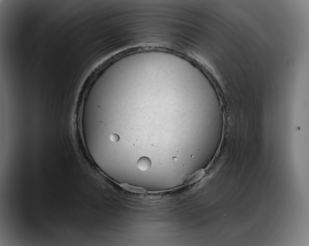 X0000088050928200705251319