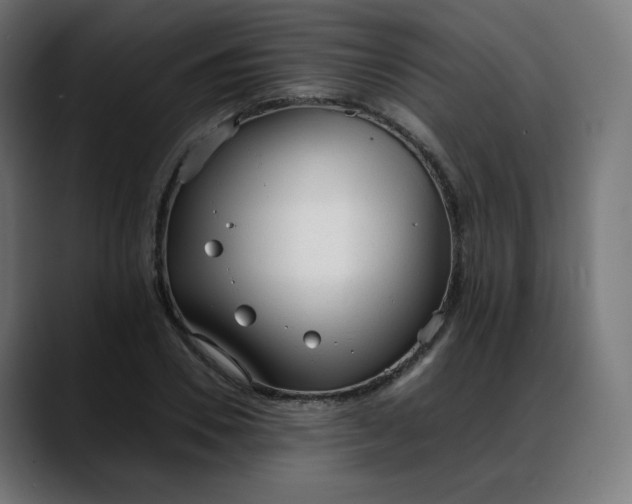 X0000088050930200705251319