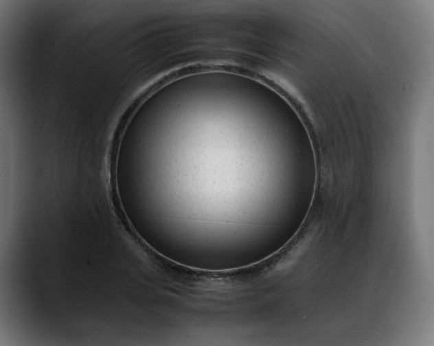 X0000088050935200705251319