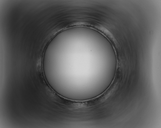 X0000088050937200705251319