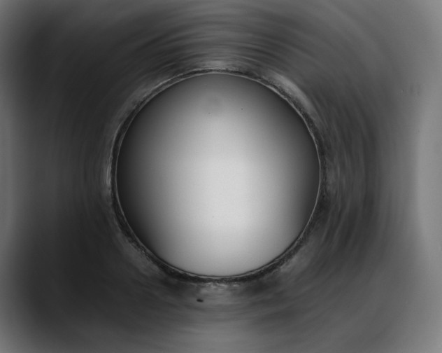 X0000088050938200705251319